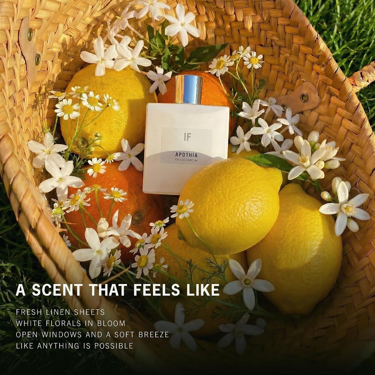 APOTHIA IF Eau de Parfum – 50 mL